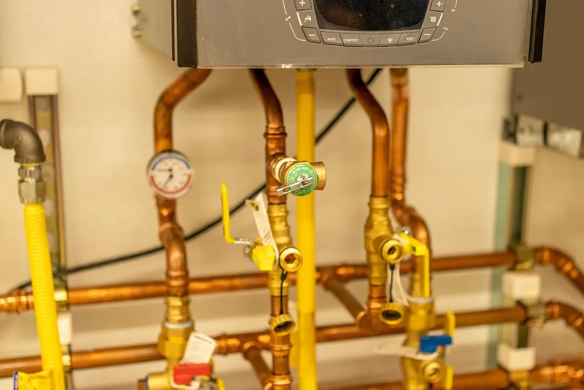 Licensed technician providing Emergency Plumbing for a homeowner in Bar Harbor